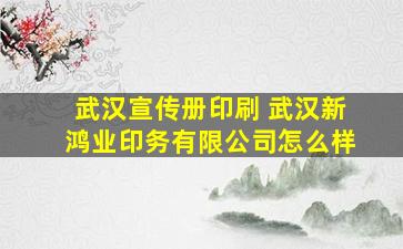 武汉宣传册印刷 武汉新鸿业印务有限*怎么样